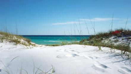 White beach sand wallpaper