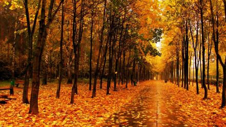 Autumn park wallpaper