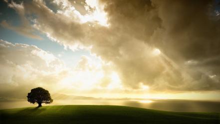 Beautiful morning nature wallpaper