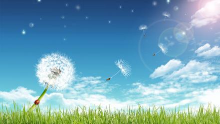 Beautiful summer scenery wallpaper