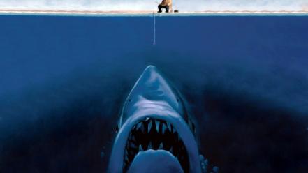 Funny hd backgrounds wallpaper