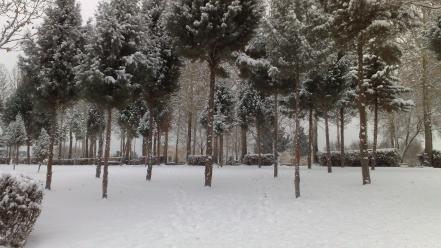 Iran artwork nature snow winter wallpaper