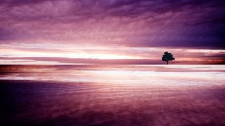 Purple nature landscape wallpaper