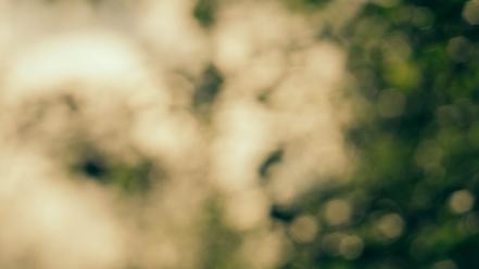 Blurred bokeh wallpaper