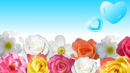 Flowers download wallpaper