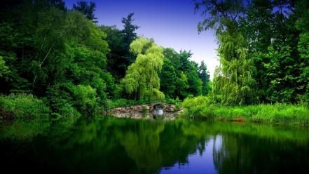 Lakes nature wallpaper