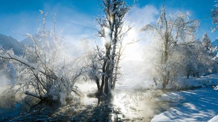 Landscapes nature snow trees winter wallpaper