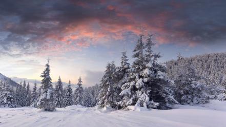 Snow winter wallpaper
