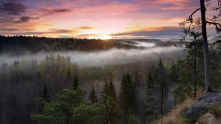 Clouds fog landscapes nature trees wallpaper