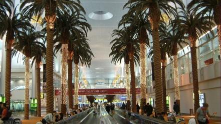 Dubai airports interior palm trees wallpaper