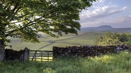Fields hills moss nature stone wall wallpaper