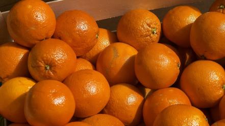 Food fruits nature oranges wallpaper