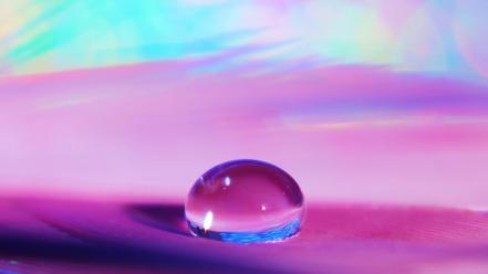 Macro water drops wallpaper