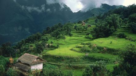 Nepal clouds grass gray green wallpaper