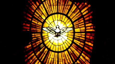 Animals birds lights pigeons stained glass wallpaper
