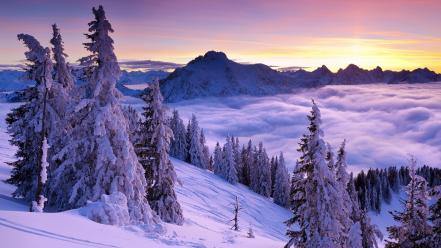 Fog purple snow sunset view wallpaper