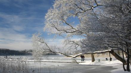 Frozen lake nature snow winter wallpaper