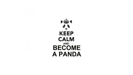 Keep calm and panda bears simple background text wallpaper