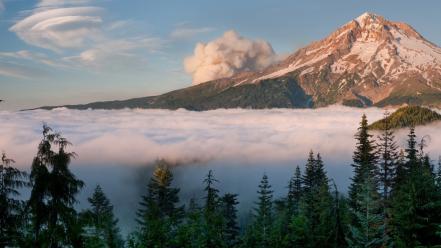 Mt. hood national geographic oregon fog forests wallpaper