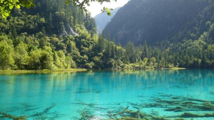 Nature trees valleys water wallpaper