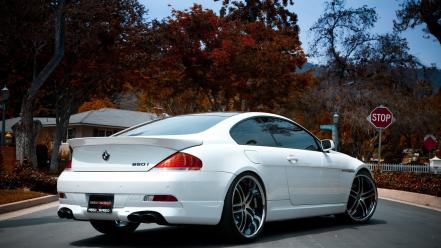 Bmw trees cars wallpaper