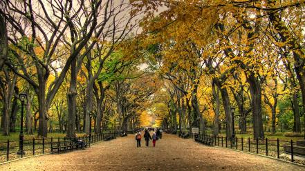 Central park wallpaper