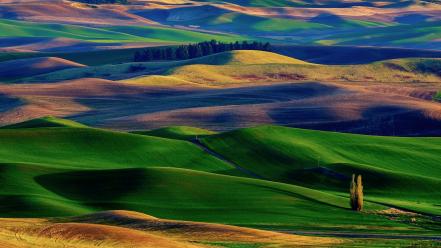 Green landscapes nature wallpaper
