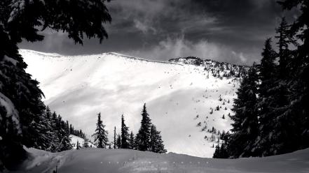 Landscapes nature winter monochrome wallpaper