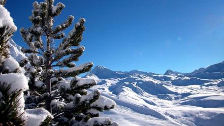 Landscapes nature winter snow trees china wallpaper