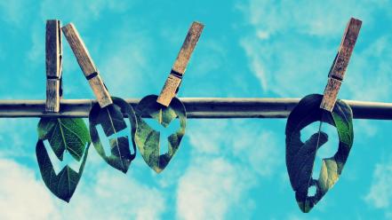 Leaves hanging artwork cutting wires wallpaper