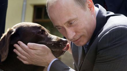 Vladimir putin a man with dog russians wallpaper