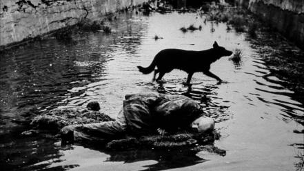 1979 andrei tarkovsky stalker (movie) grayscale wallpaper