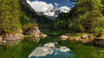 Austria forests grass green lakes wallpaper