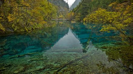 British columbia canada blue crystalline forests wallpaper