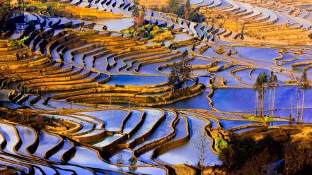 China yunnan agriculture landscapes nature wallpaper