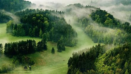 Forests grass green hills houses wallpaper