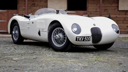 Jaguar c-type cars wallpaper