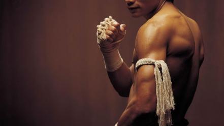 Muay thai ong bak tony jaa wallpaper