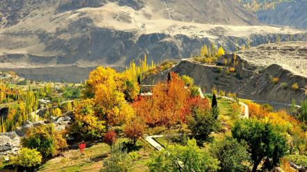 Pakistan autumn ganesh grass green wallpaper