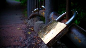 Bridges pair padlock wallpaper