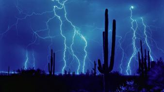 Cactus lightning night sky wallpaper