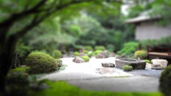 Garden japanese tilt-shift wallpaper