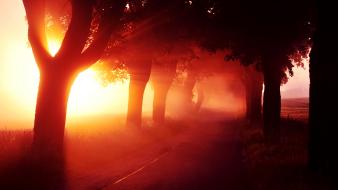 Sunrise nature trees red fog mist aleksandra wydrych wallpaper