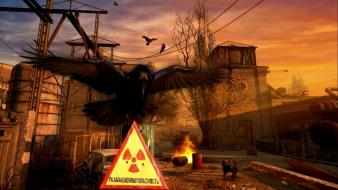 Birds nuclear wallpaper