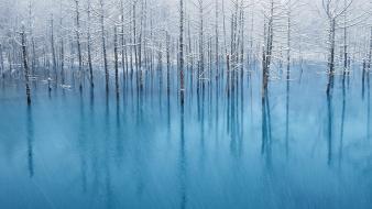 Blue apple inc. ponds macintosh mountain lion wallpaper