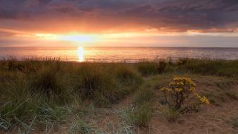 Coast sun england grass united kingdom sea wallpaper