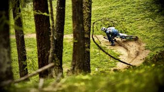 Downhill mountainbike wallpaper