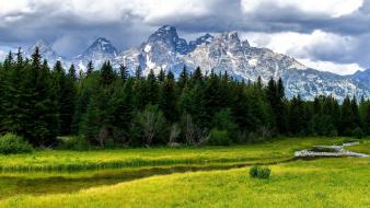 Landscapes nature trees forest fields usa wyoming wallpaper