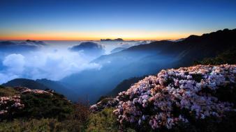 Mountains landscapes nature flowers wallpaper