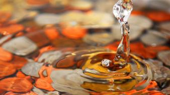 Water landscapes nature drops wallpaper